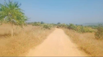  Residential Plot for Sale in Saraipali, Mahasamund