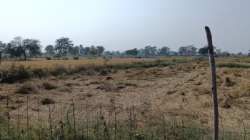  Residential Plot for Sale in Abhanpur, Raipur