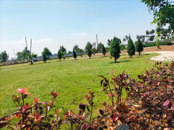  Residential Plot for Sale in Wallfort City, Raipur