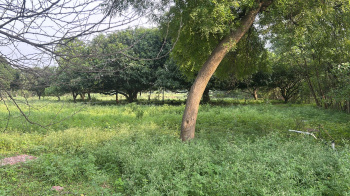  Agricultural Land for Sale in Champaran, Raipur