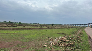  Agricultural Land for Sale in Pathariya, Bilaspur