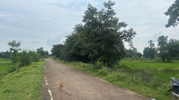  Agricultural Land for Sale in Abhanpur, Raipur