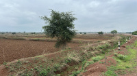  Commercial Land for Sale in Civil Lines, Raipur