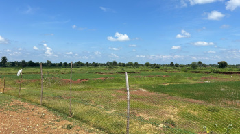  Industrial Land for Sale in Arang, Raipur