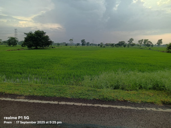  Agricultural Land for Sale in Baloda Bazar, Raipur