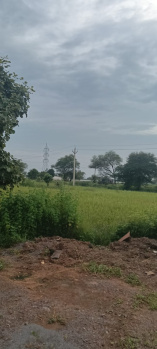  Agricultural Land for Sale in Old Dhamtari Road, Raipur