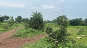  Agricultural Land for Sale in Bilaspur Road, Raipur
