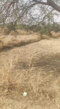  Commercial Land for Sale in Jora, Raipur