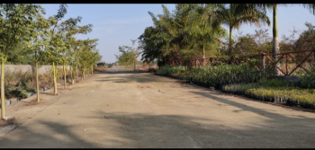  Agricultural Land for Sale in Simga, Baloda Bazar, Raipur