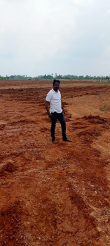  Agricultural Land for Sale in Allithurai, Tiruchirappalli