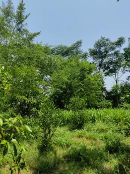  Agricultural Land for Sale in Hindupur, Anantapur