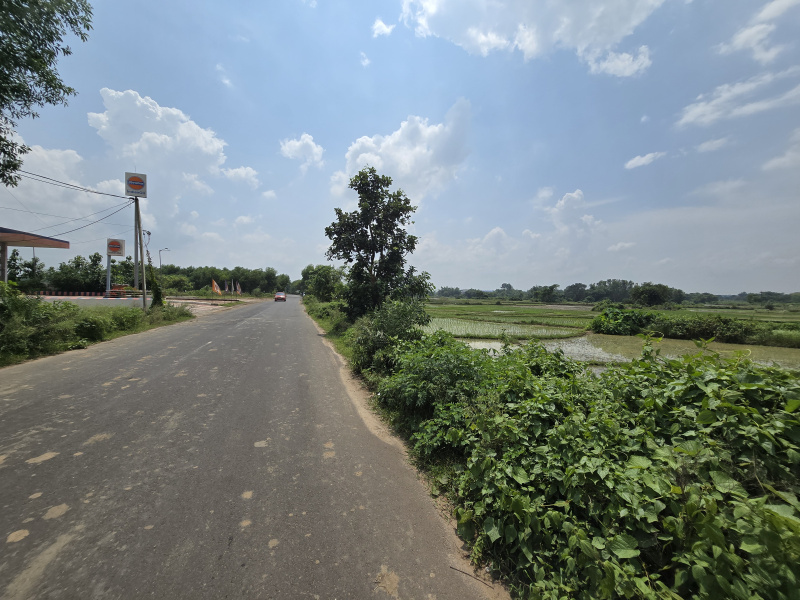  Industrial Land 40 Bigha for Sale in Beliatore, Bankura