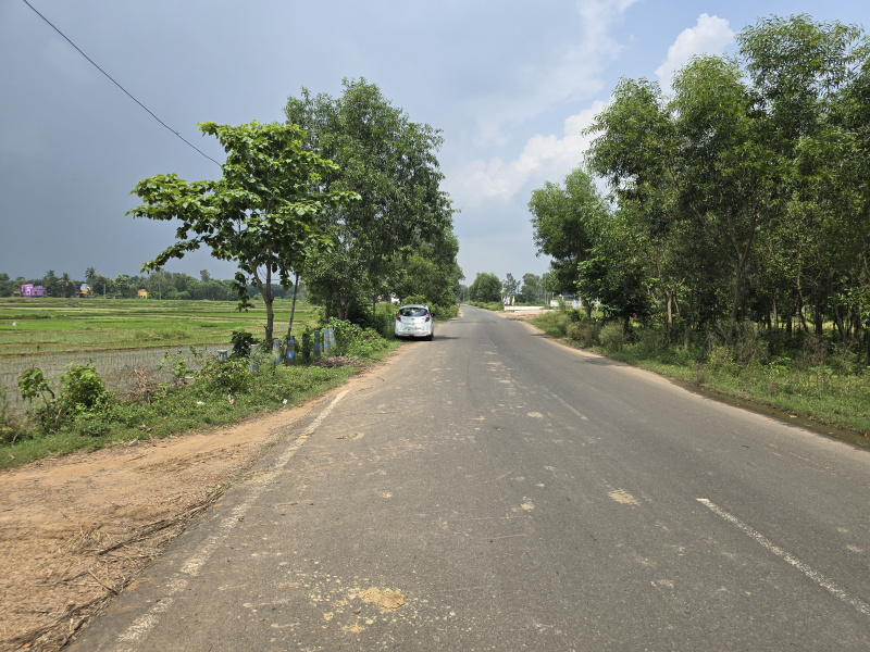  Industrial Land 40 Bigha for Sale in Beliatore, Bankura