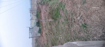  Agricultural Land for Sale in Bhandari Pokhari, Bhadrak