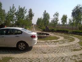  Agricultural Land for Sale in Chhata, Mathura