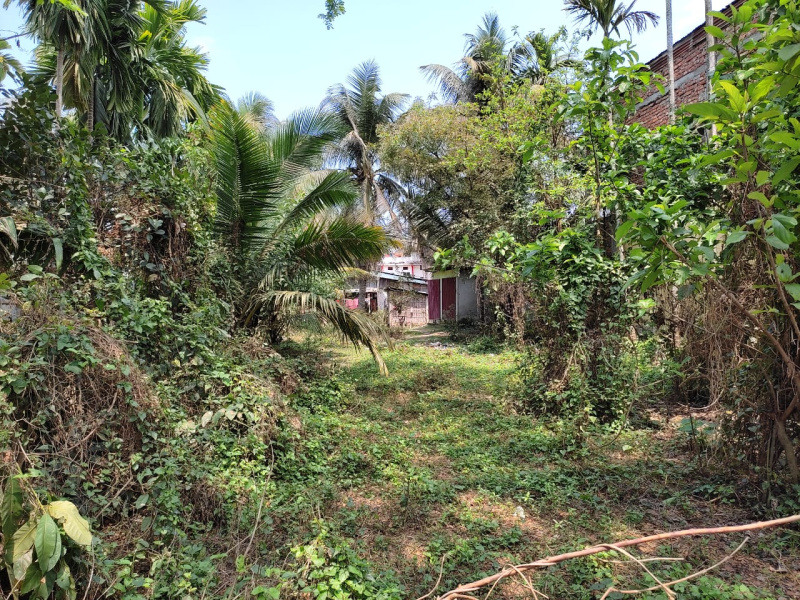  Residential Plot 8340 Sq.ft. for Sale in Lanka, Hojai