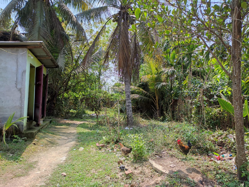  Residential Plot 8340 Sq.ft. for Sale in Lanka, Hojai