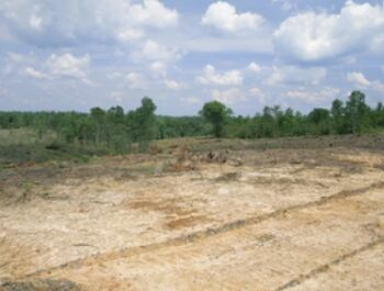  Commercial Land for Sale in Gobindpur, Dhanbad