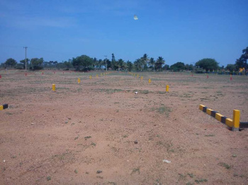  Residential Plot for Sale in Panjapur, Tiruchirappalli