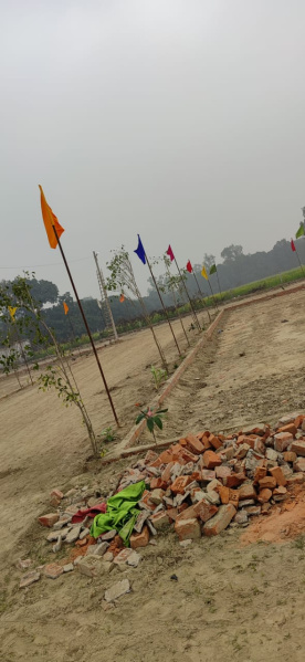  Residential Plot 1000 Sq.ft. for Sale in Sultanpur Road, Lucknow