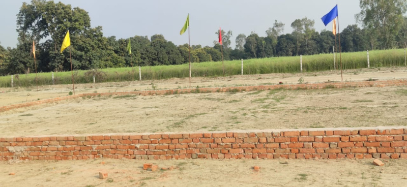  Residential Plot 1000 Sq.ft. for Sale in Sultanpur Road, Lucknow