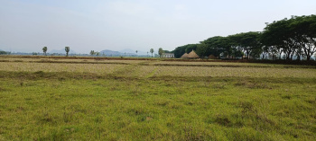  Agricultural Land for Sale in Kotananduru, East Godavari