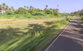  Industrial Land for Rent in Tenkasi, Tirunelveli