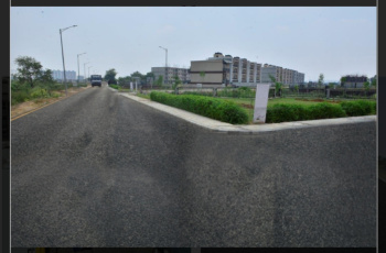 Residential Plot for Sale in Sector 19 Dharuhera