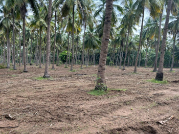 Agricultural Land for Sale in Marakkanam, Villupuram