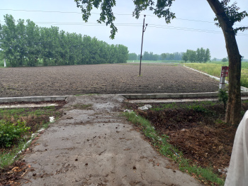  Agricultural Land for Sale in Laksar Road, Haridwar