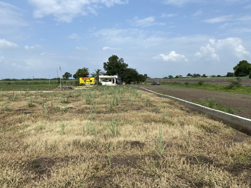  3 Ares Agricultural/Farm Land for Rent in Kopargaon, Ahmednagar