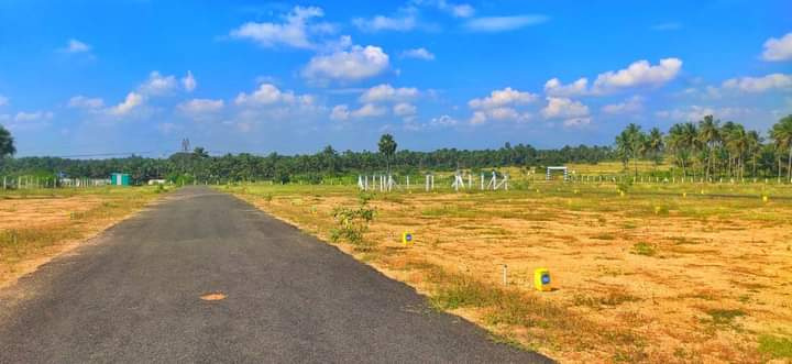 Residential Plot 1200 Sq.ft. for Sale in Thondamuthur, Coimbatore