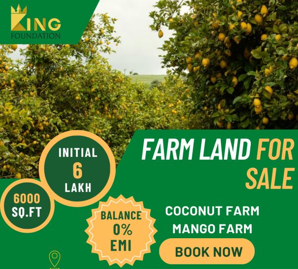  Agricultural Land 9000 Sq.ft. for Sale in Red Hills, Chennai