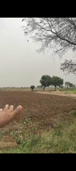  Residential Plot for Sale in Surakhpur, Najafgarh, Delhi