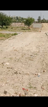  Residential Plot for Sale in Sohna, Gurgaon