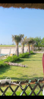  Residential Plot for Sale in Tappal, Aligarh