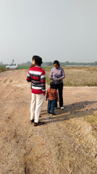  Residential Plot for Sale in Sohna, Gurgaon