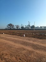  Residential Plot for Sale in Kair, Najafgarh, Delhi