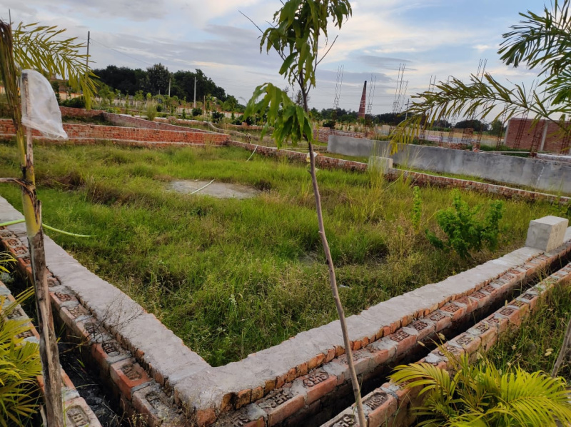  Residential Plot 10000 Sq.ft. for Sale in Gosaiganj, Sultanpur Road, Lucknow