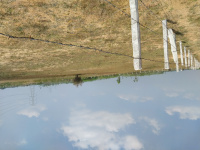  Agricultural Land for Sale in Palaganangudy, Tiruchirappalli