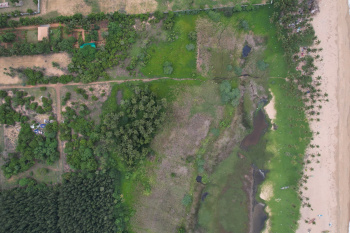  Agricultural Land for Sale in Muttukadu, Chennai