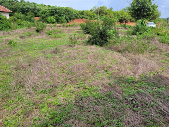  Commercial Land for Sale in Moodabidri, Mangalore