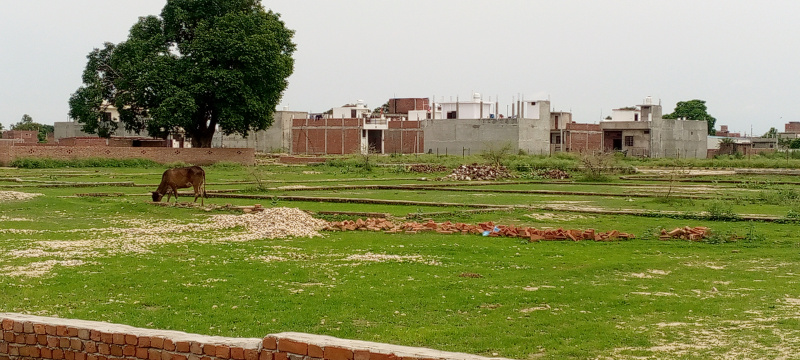 1000 Sq.ft. Residential Plot for Sale in Kisan Path, Lucknow