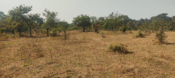  Residential Plot for Sale in Wada, Thane