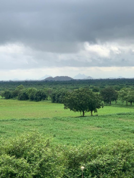 3 BHK Farm House for Sale in Pushkar, Ajmer