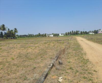  Agricultural Land for Sale in MRN Nagar, Kallakurichi, Villupuram