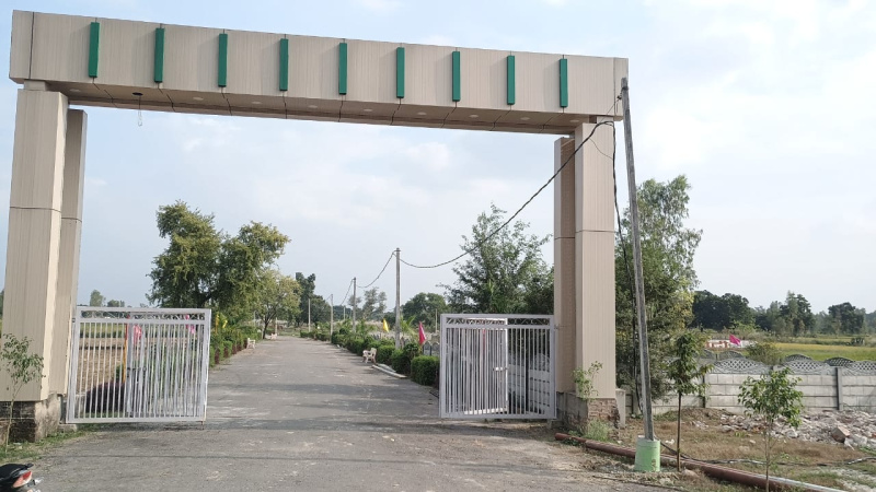  Residential Plot 1000 Sq.ft. for Sale in Sultanpur Road, Sultanpur Road, Lucknow