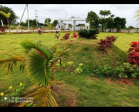  Residential Plot for Sale in Shadnagar, Hyderabad