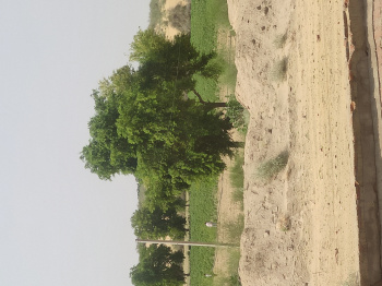  Agricultural Land for Sale in Mohangarh, Jaisalmer