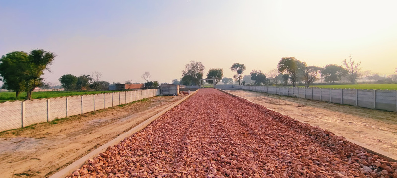  Residential Plot 100 Sq.ft. for Sale in Rohta, Agra